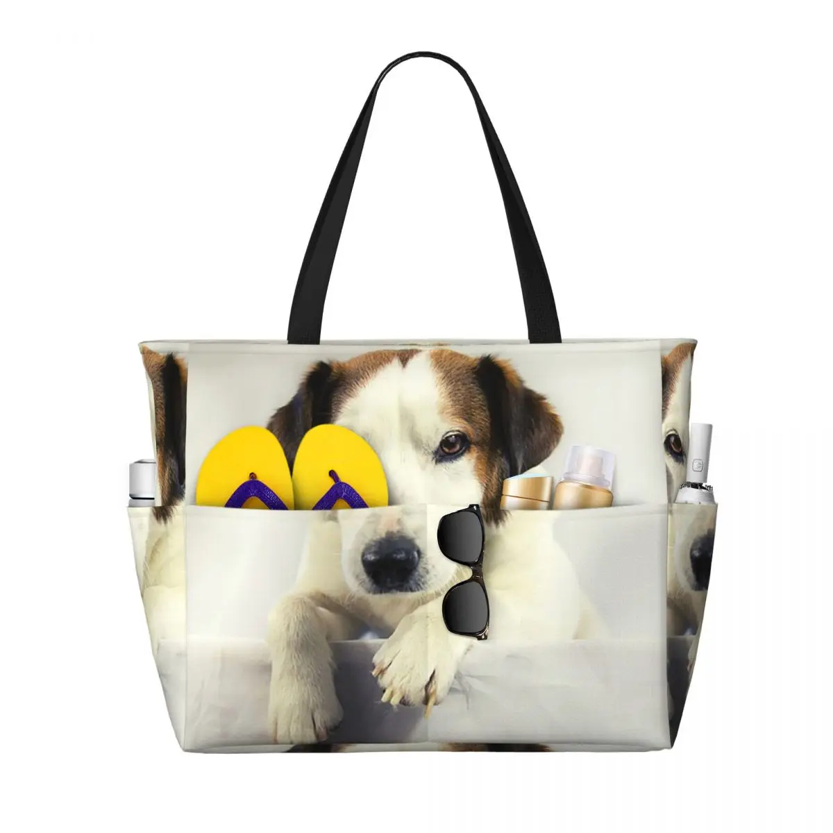 Dog Jack Russell Terrier Photo - Yoga Fitness Gym Photos 评论和价格