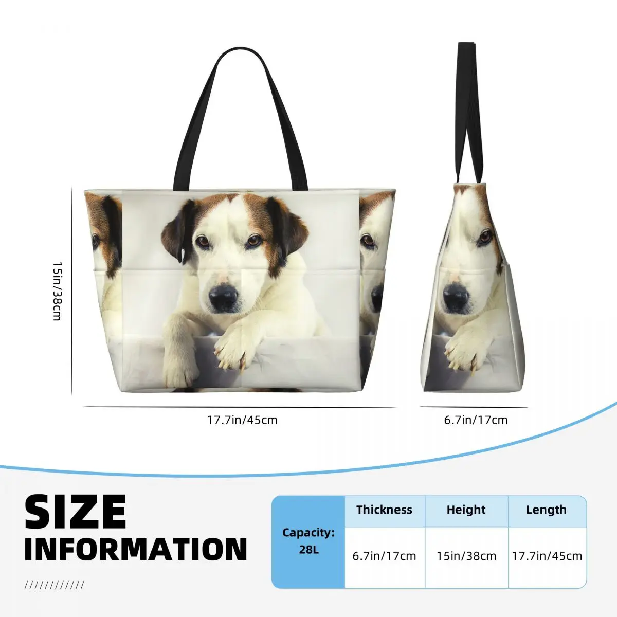 Dog Jack Russell Terrier Photo - Yoga Fitness Gym Photos 评论和价格